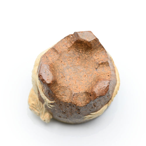 Moriwaki Hiroyuki Bizen Dragon Guinomi