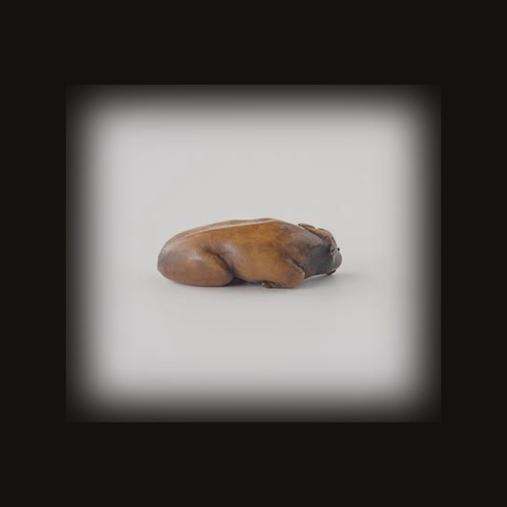 Netsuke by Sekine Kabu — detail
