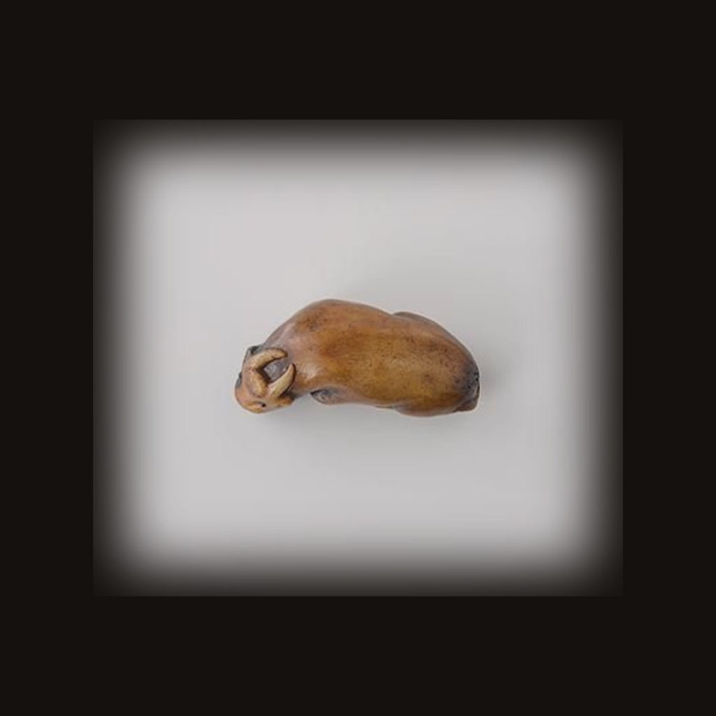 Netsuke by Sekine Kabu — detail